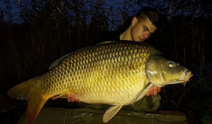 Obrovský šupináč