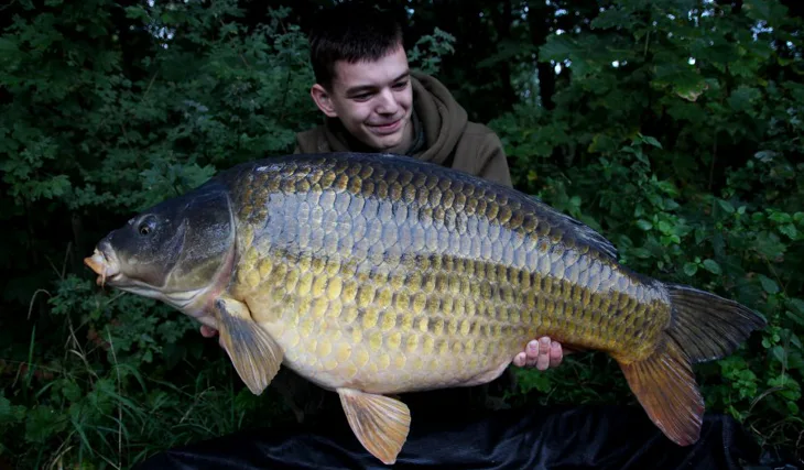 Další labské zářezy