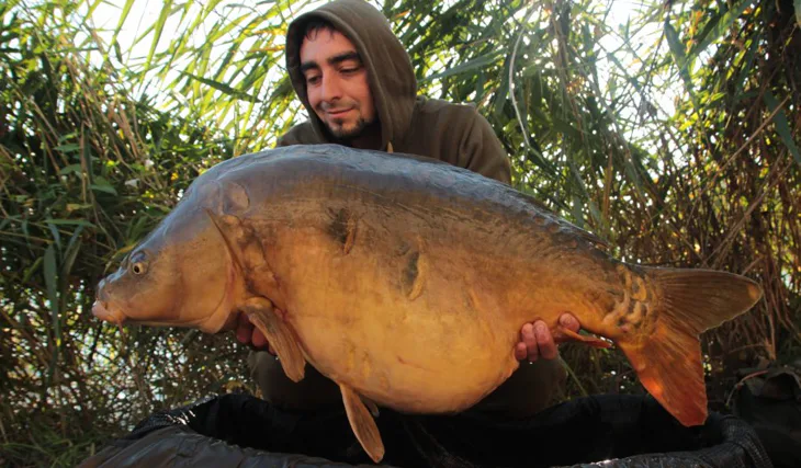 Tomkyč na pískovně