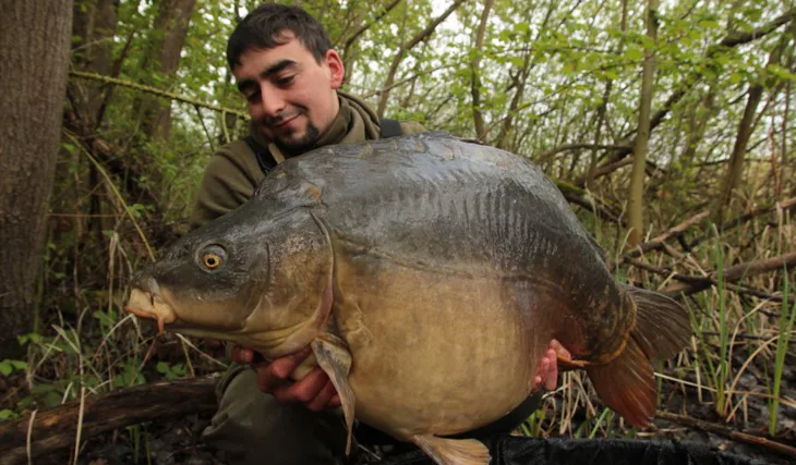 Zpětné poohlédnutí na první výpravu do Francie