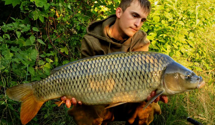 Návrat domov, vol.1