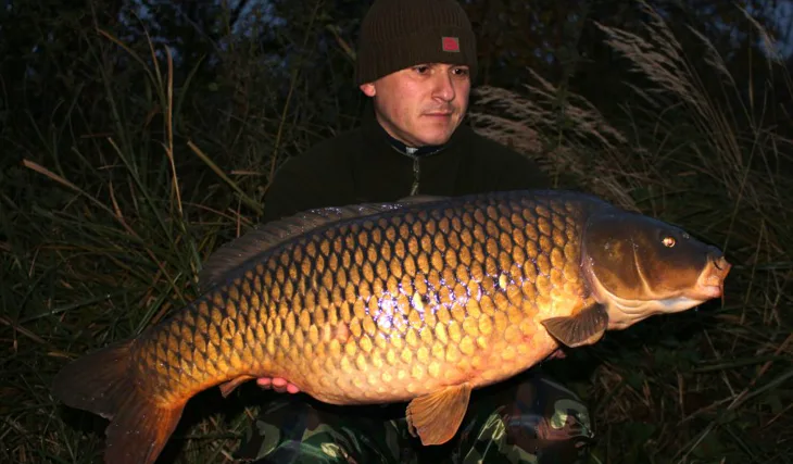 Listopadových 48 hodin