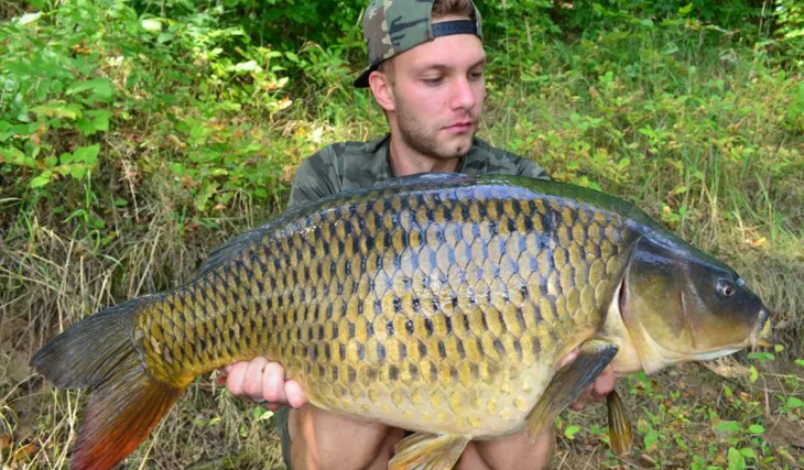 Buchťákův masakr!