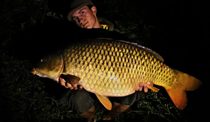 Návrat domov, vol.2