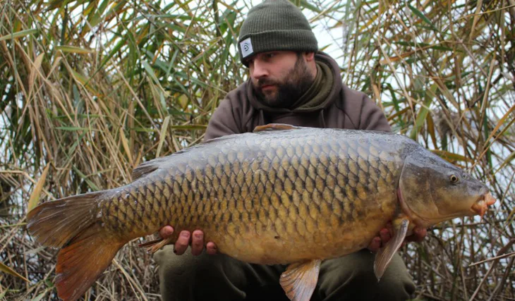 Blížící se konec roku 2017