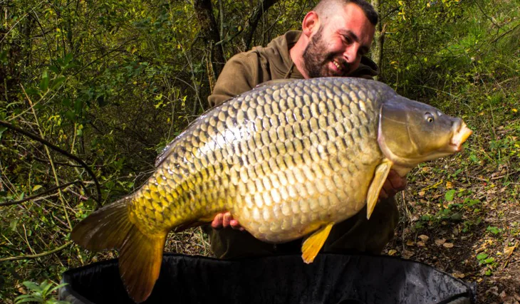 Vytrvalosť prináša svoje ovocie