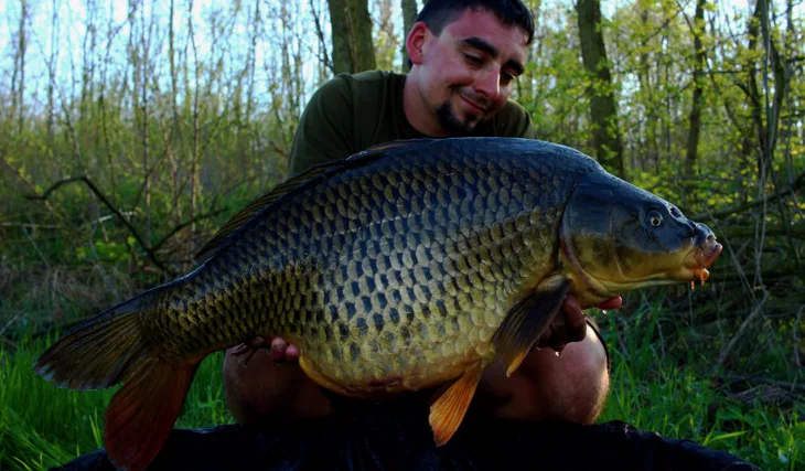 Jednodenní vycházky