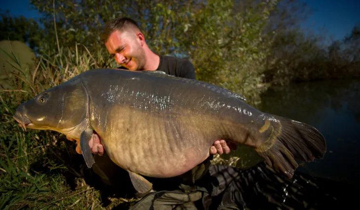To nejlepší z roku 2017