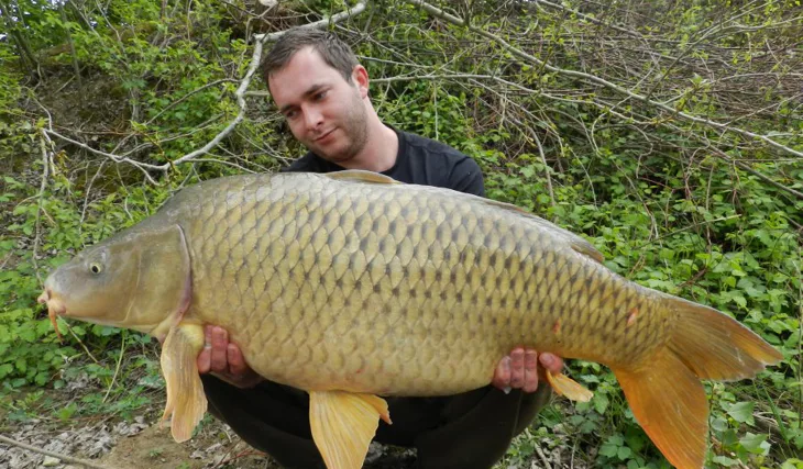 Balkán ve znamení Noční můry