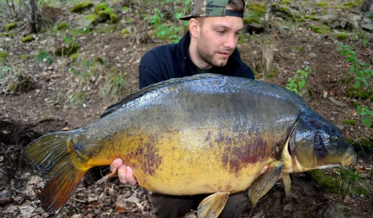 Buchťák opět v akci