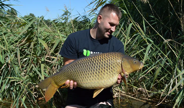 Pokladny jižní Moravy