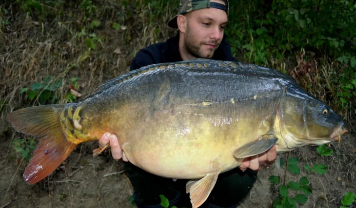 Buchťák opět řádil