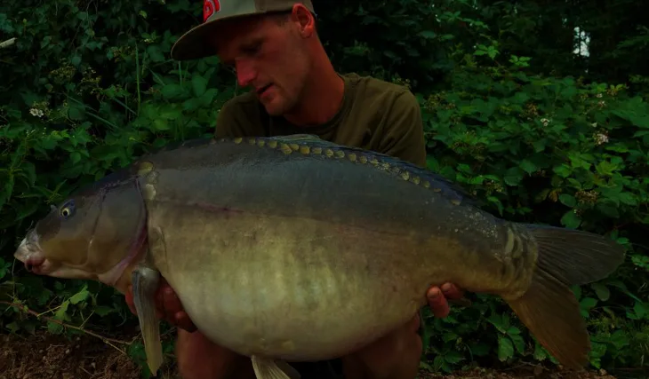 V týdnu - část 1.