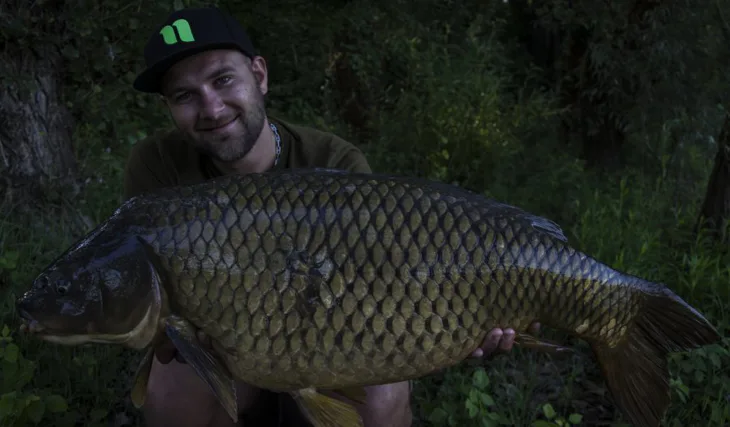 Rozlúčka s Angry plum