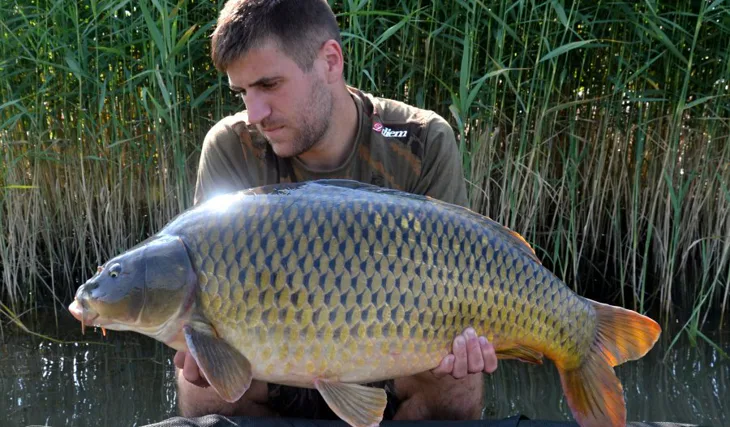 Náročných päť dní