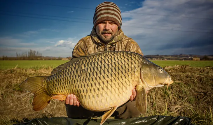 Druhý týden v prosinci