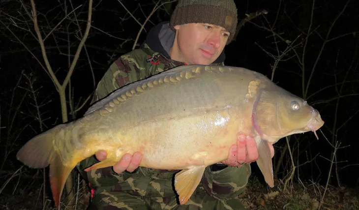 Prosincové vycházky