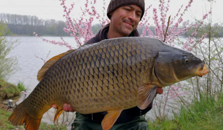 Splněný sen z jarních mělčin, část. 2