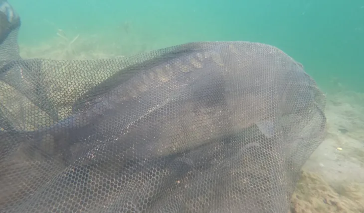 Dvě rychlé patnáctky