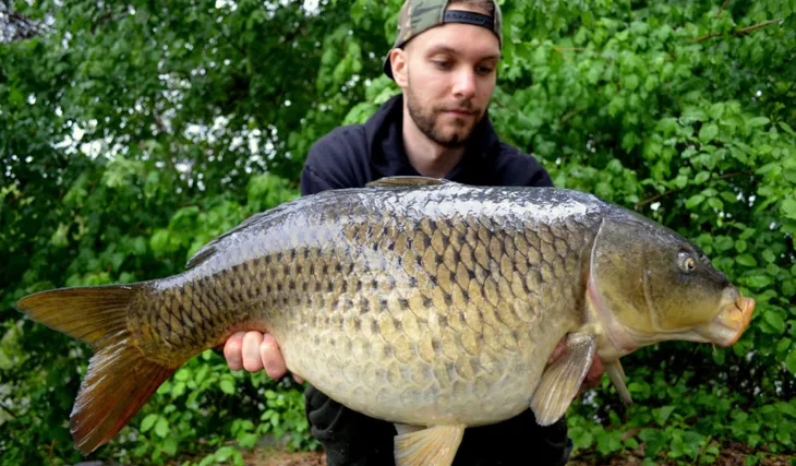 Labe před třením 1