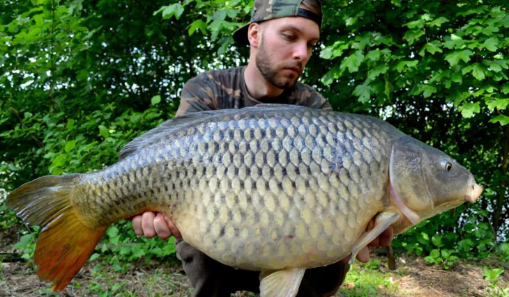 Labe před třením 2