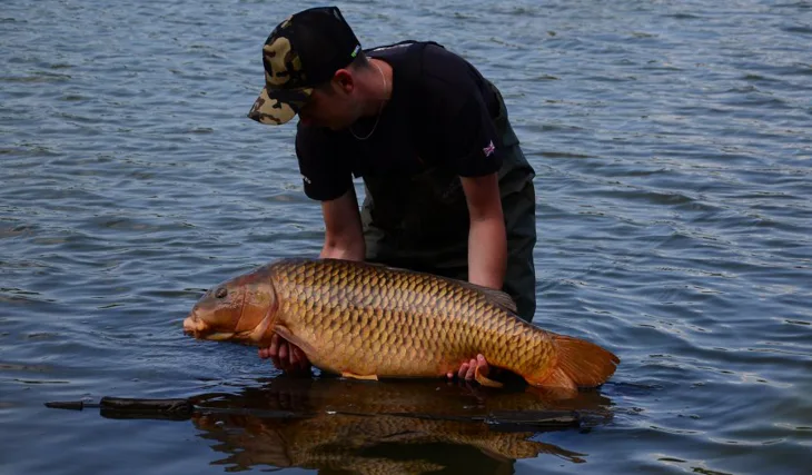 Narozeninová tradice