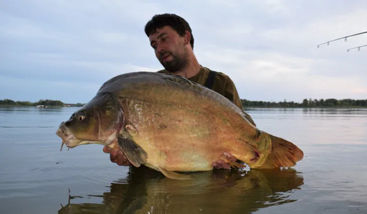 Nařízená celozávodní dovolená