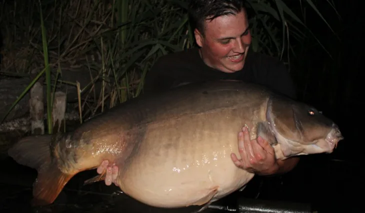 První polovina roku 2019