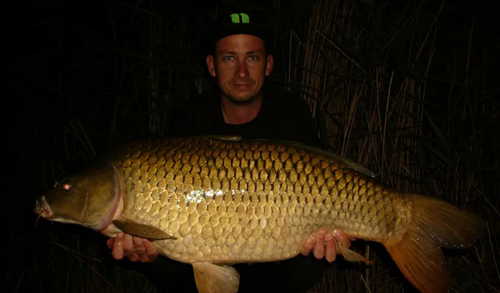 Od soumraku do úsvitu