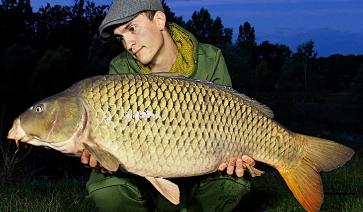 Testovanie Ronie Rigov