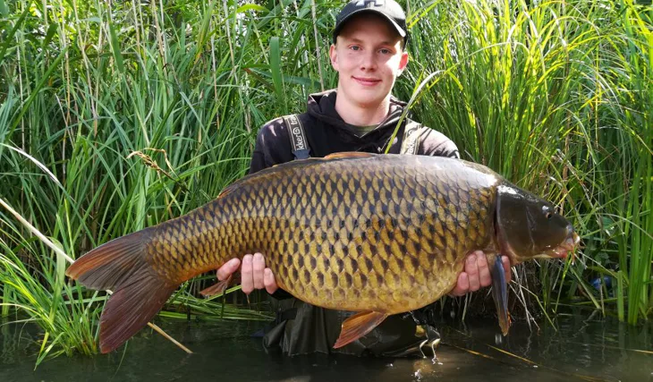 Devill krill úřaduje 1.část