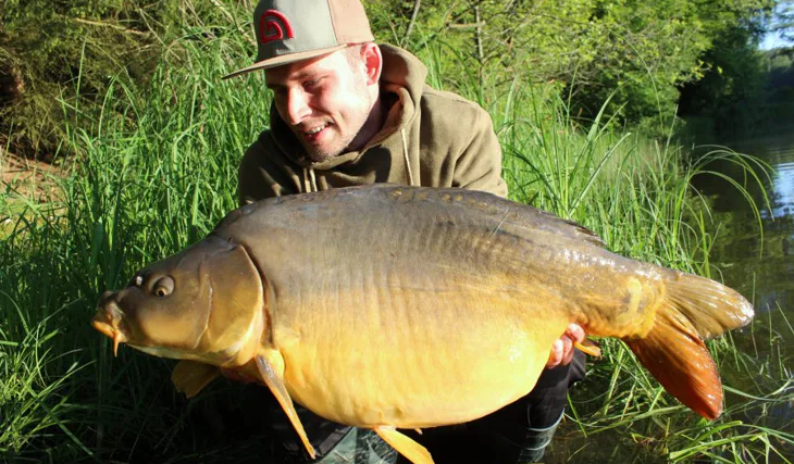 Opětovné setkání