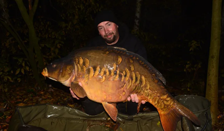 Listopadový řádek