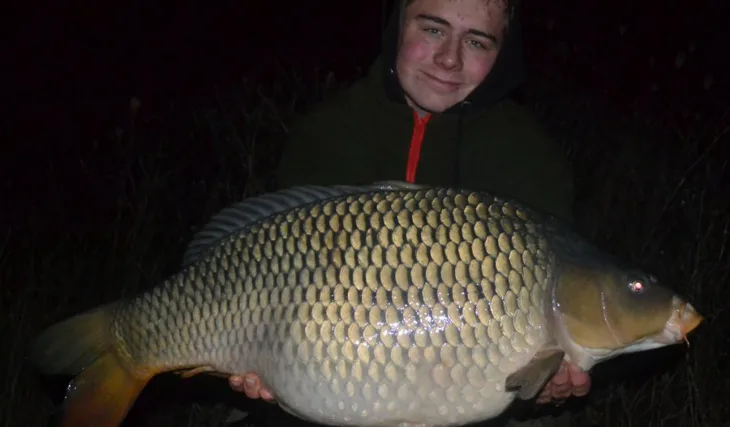 Začátek prosince ve znamení Devill Krillu