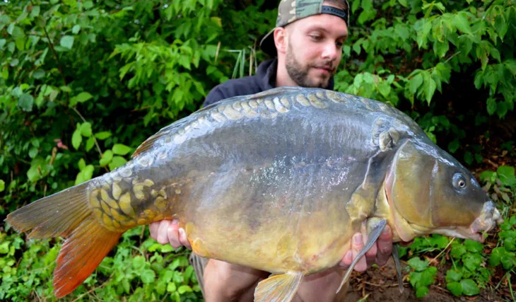 Podzimní výprava na Labe