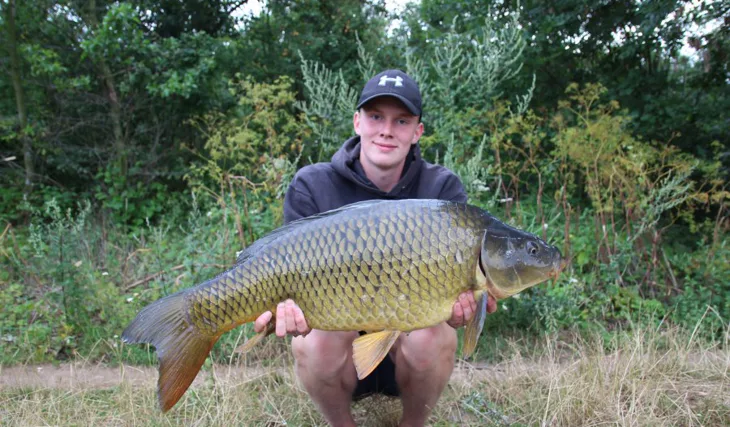 Devill Krill úřaduje, 2. část