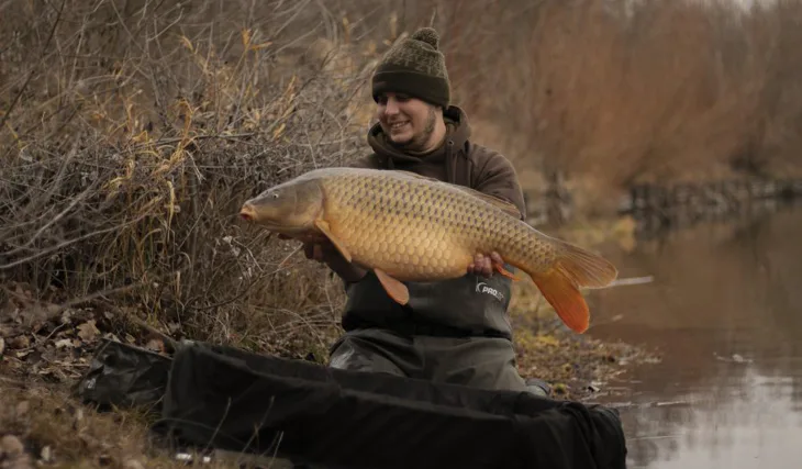 Předvánoční lov kaprů