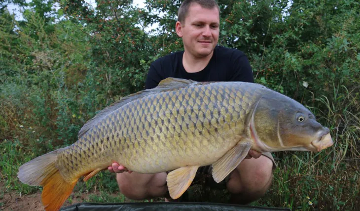 Léto se „Scopexem“