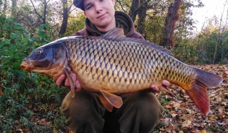 Kaprov lovím po celý rok