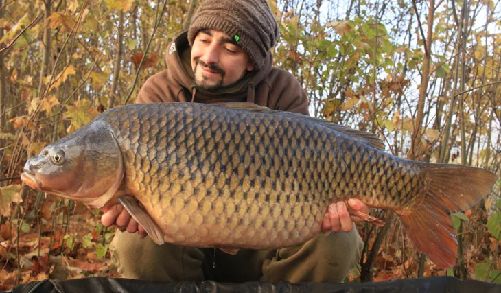 Podzimní krmná kampaň část - část.1