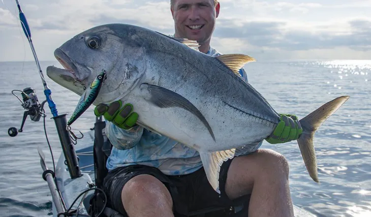 Krátké zimní vycházky