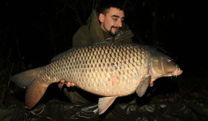 Podzimní krmná kampaň část - část 4