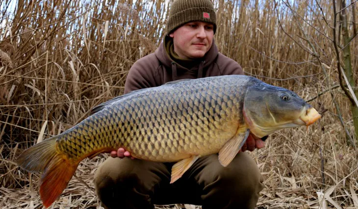 Chladné měsíce na začátku sezóny 2020