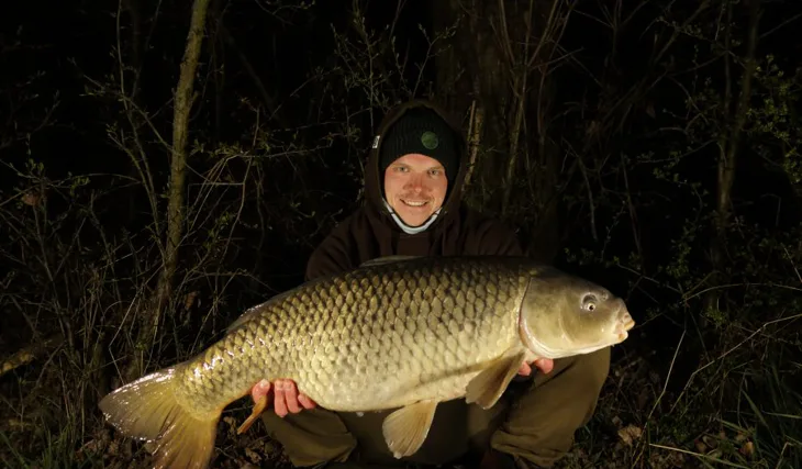 Brzda v podobě karantény