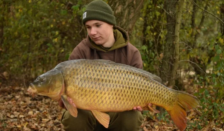 November s „Devill Krillom“