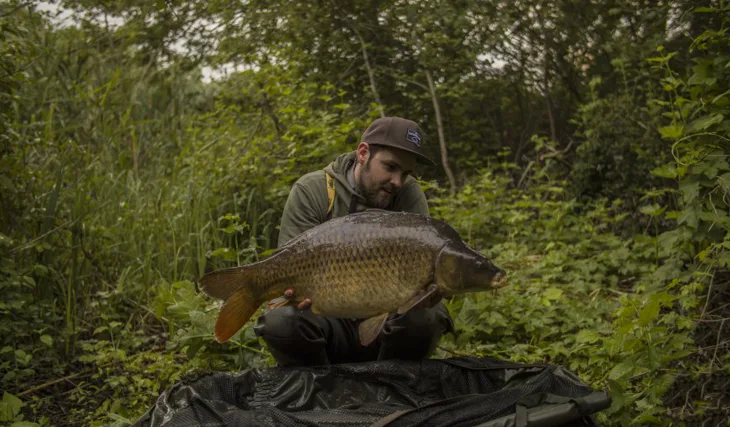 Spomienky na extázu
