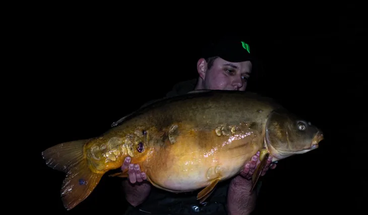 Předvánoční lov kaprů