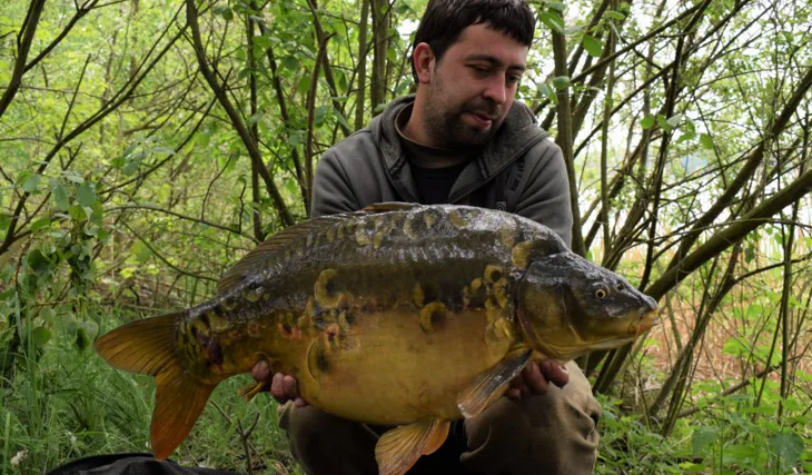 Květen na pískovně