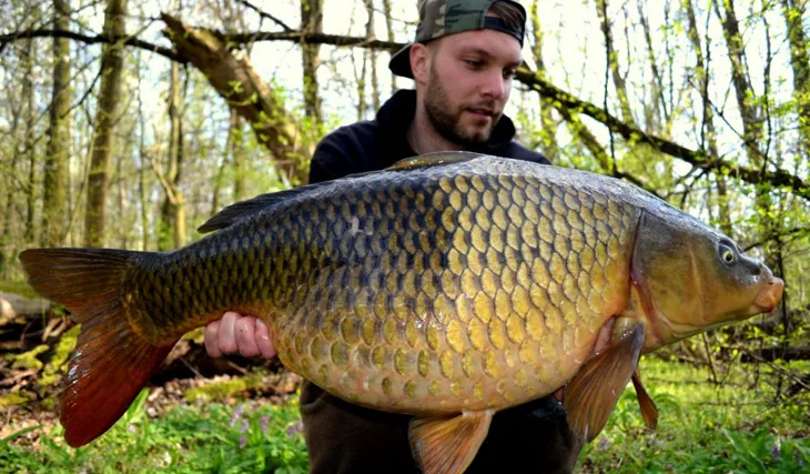 Předvelikonoční nadílka