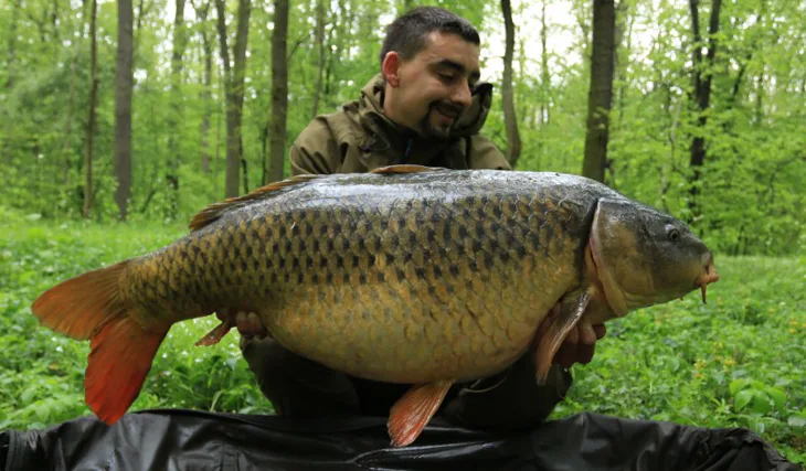 Jarní řeka - to sedlo